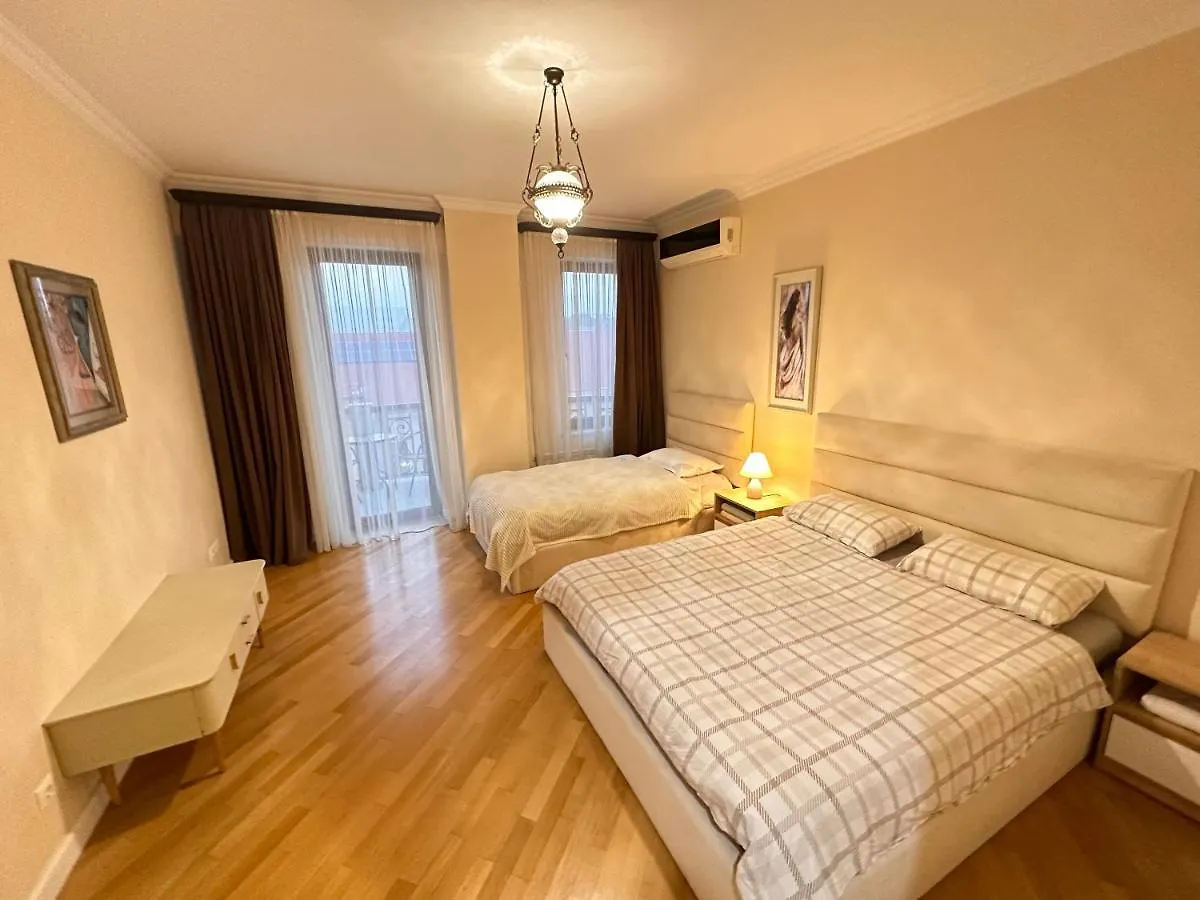 Apartment In Downtown 